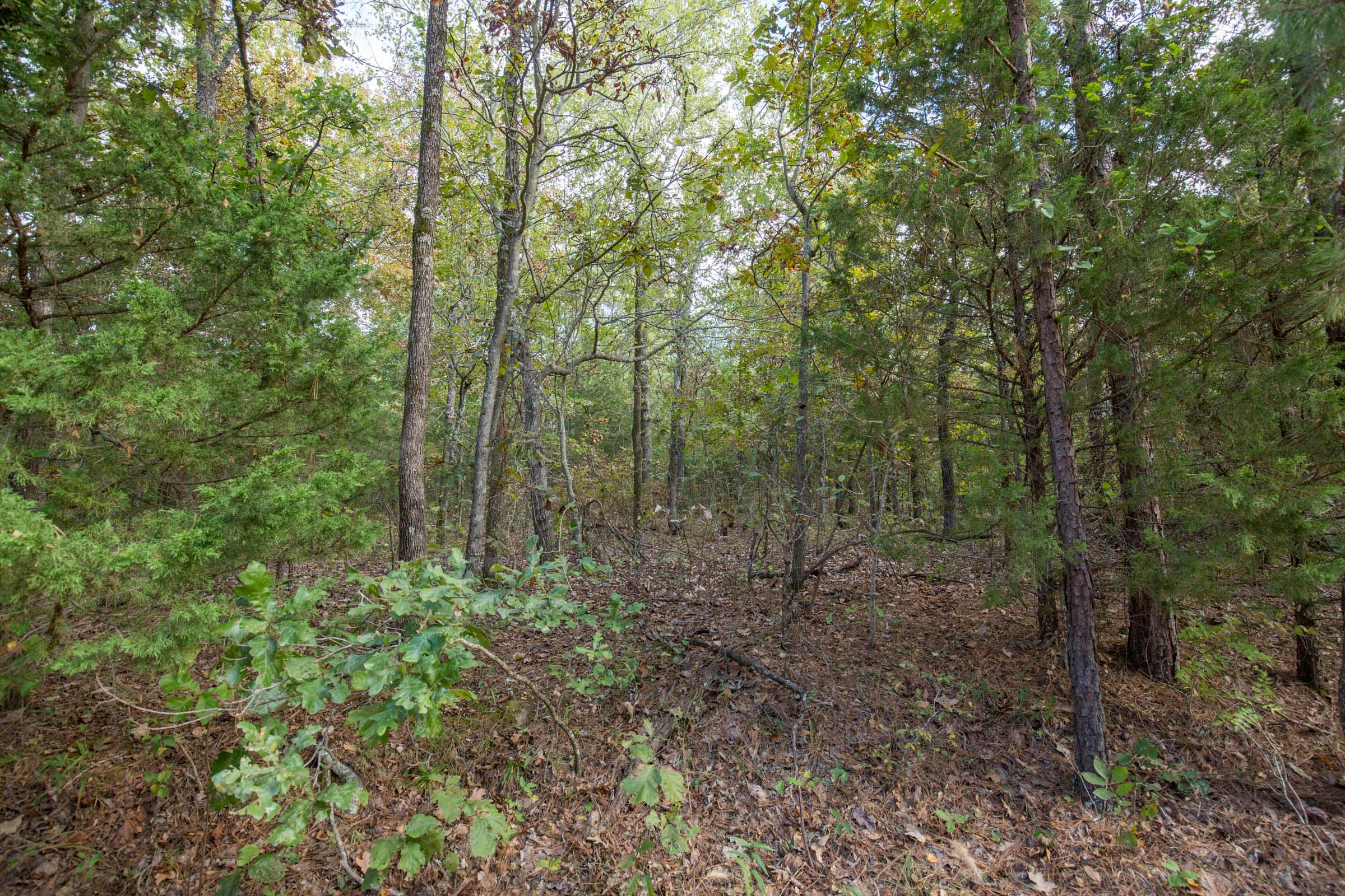 Tract 38 at Stone Bridge Phase I in LatimerHaskell County, Oklahoma